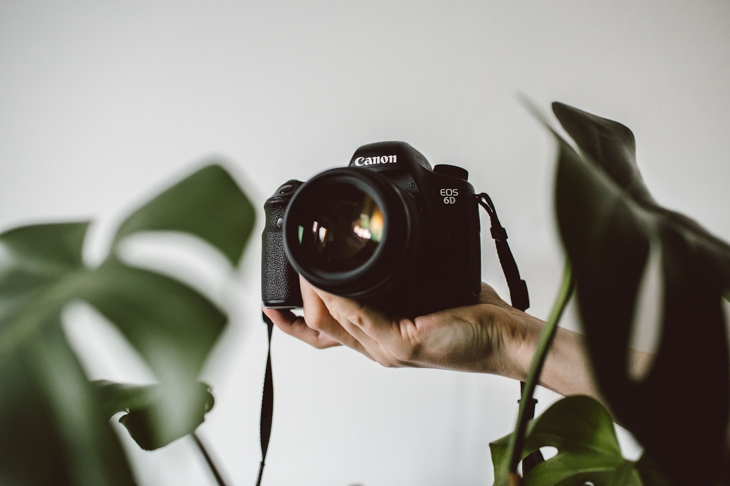 Essential Tools for Aspiring Photographers